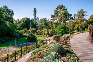 Unique Things To Do In Melbourne CBD | Yarra River