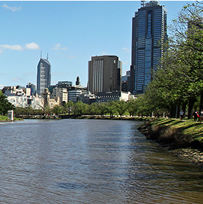 1hr Sightseeing Cruise along the Yarra River