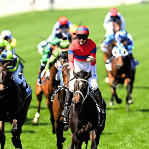 YRC Web - Products - Melbourne Cup