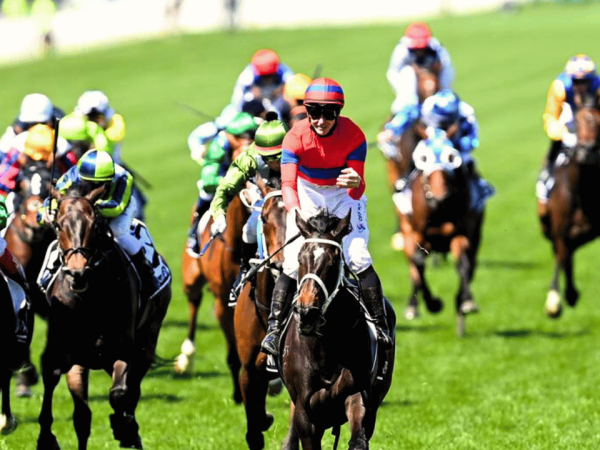 YRC Web - Products - Melbourne Cup